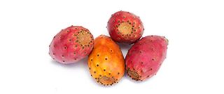 КАКТУСОВА СМОКИНЯ 1 БР / 38137278