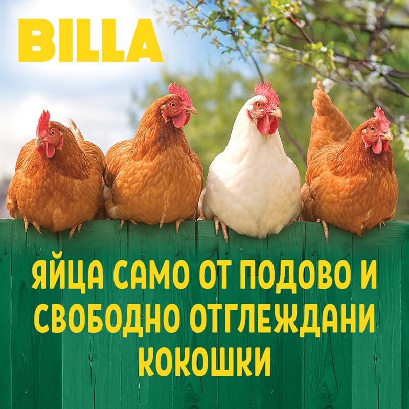 Яйцa