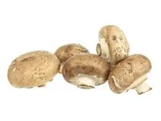 Ciuperci Brune