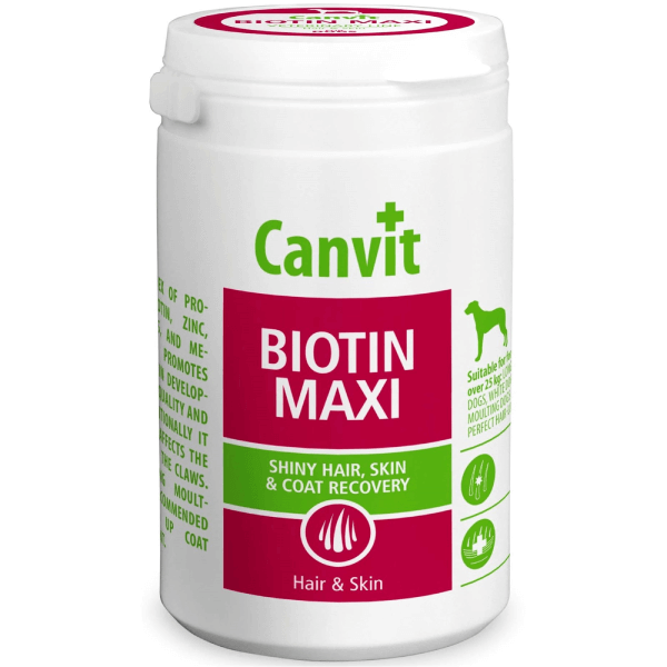 Vitamine și suplimente alimentare câini