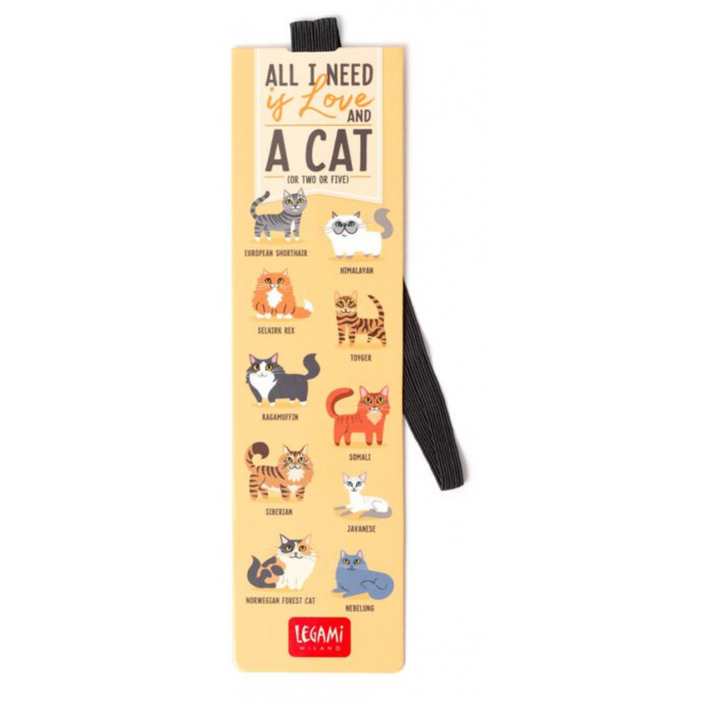 Accesorii pentru citit.