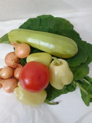 Mix povrce za sogan dolmu