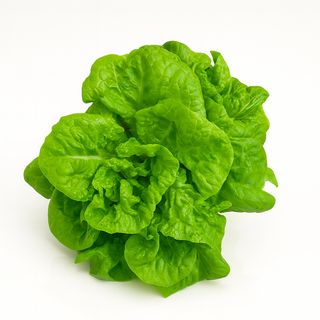 Salata verde ECO, bucata