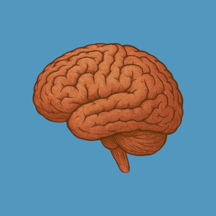 MEMORIE SI SISTEMUL NERVOS 💙