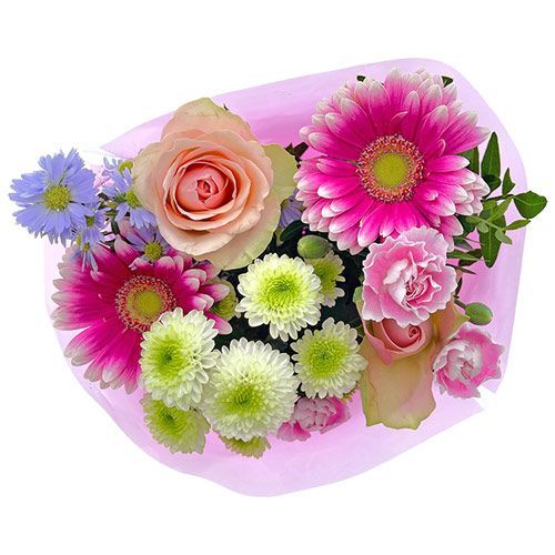 Plante și Flori❣️