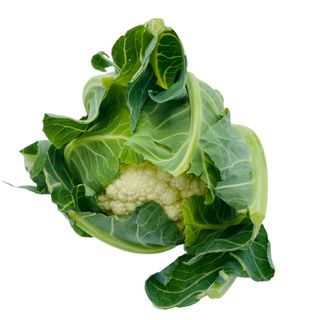 Conopida alba ECO, 700g