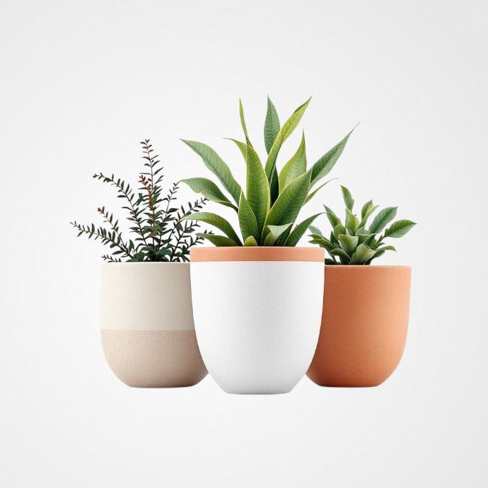 Ghivece si jardiniere