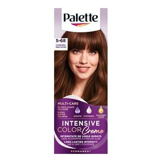 Palette Icc Vopsea Castaniu Mediu R4 R10