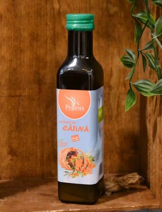 Extract fructe padure