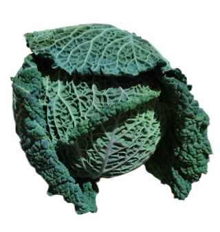 Varza creata de Savoy ECO, 800g