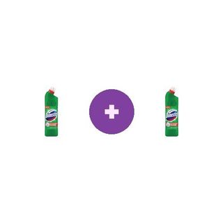 2 x Dezinfectant Suprafete Domestos Pine 1L