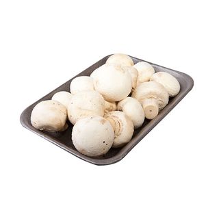 PECURKE SAMPINJONI 400G 005367