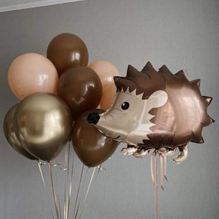 Buchet din baloane " Aricel "