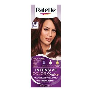 Palette Icc Vopsea Rosu Inchis Rf3 R10