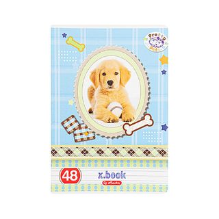 Herlitz Caiet A5 48 File Dictando