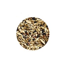 Hrana pentru canari Padovan Natural Mix 1 kg
