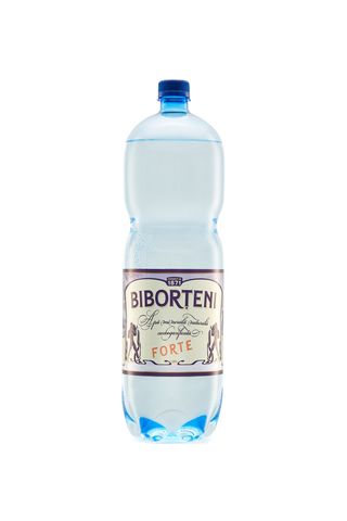BIBORTENI APA MINERALA FORTE 2L