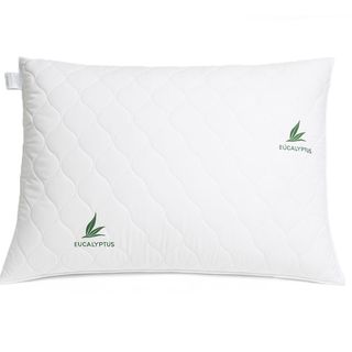 Perna SleepMoon Eucalipt, 50 x 70 cm