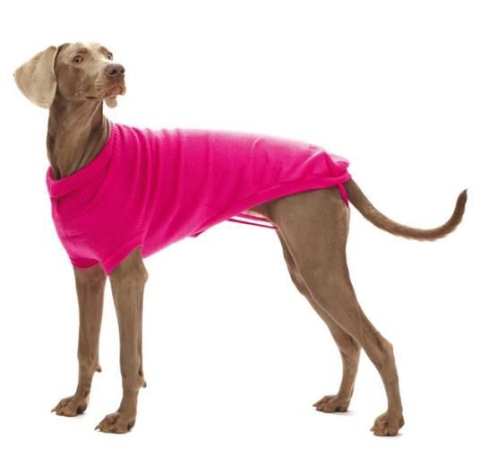 Duksevi i Džemperi za Pse