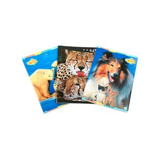 Caiet Clasic A5 48 File Matematica