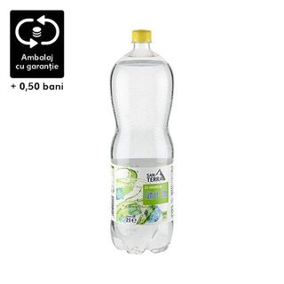 San Terra Baut Carbo Lemon Lime 2L Petsg
