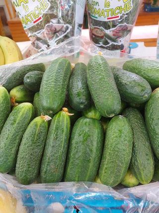 Domaći Krastavac Salatar