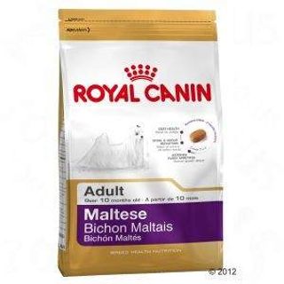 Royal Canin Adult Bichón Maltês hrana za pse - 1.5KG