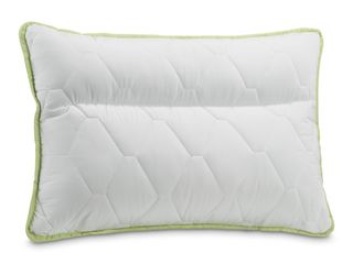 Perna anatomica Aloe Vera II Dormeo