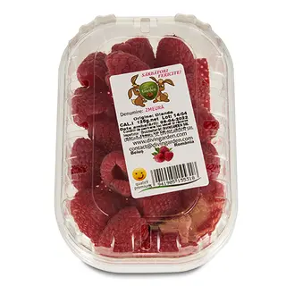 Fp Zmeura 125G