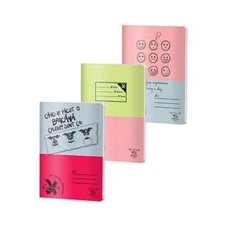 Caiet Basic A5 60 File Dictando