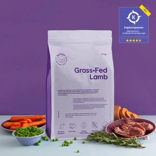 BUDDY HRANA ZA OSETLJIVE PSE - JAGNJETINA 2KG