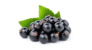 Coacăze negre