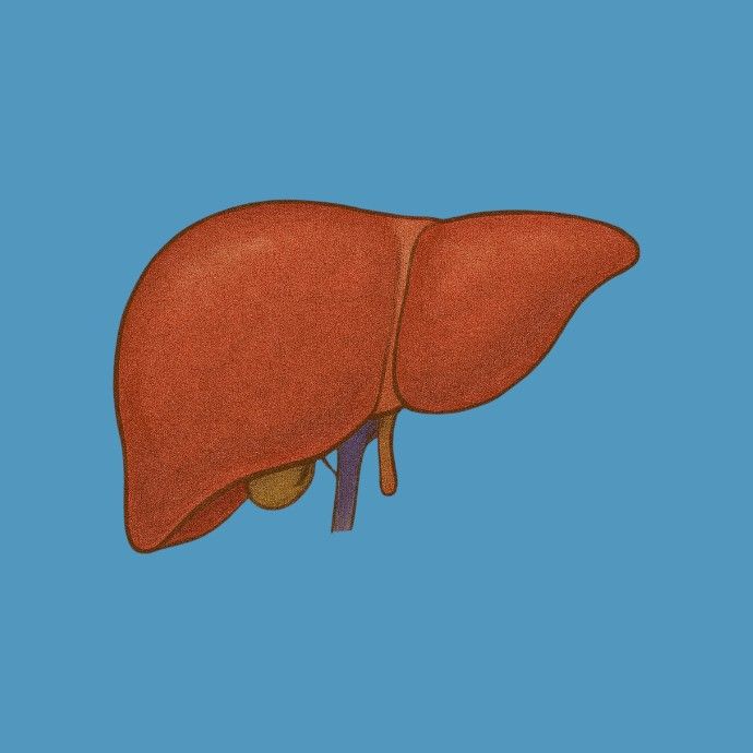 Hepatoprotectoare