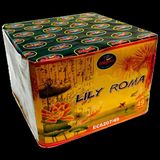 Lily Roma (EC6207)