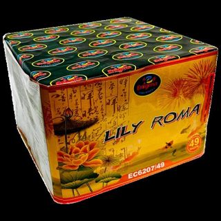 Lily Roma (EC6207)