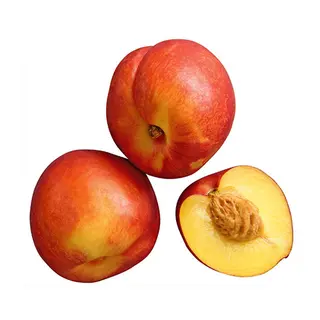Nectarine