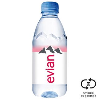 Evian, Apa minerala naturala plata 0.33L (ID 44881)