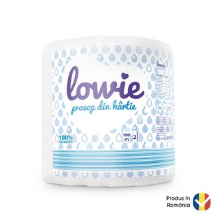 Lowie Prosop Bucatarie Din Hartie 1 Rola 100M,2Str