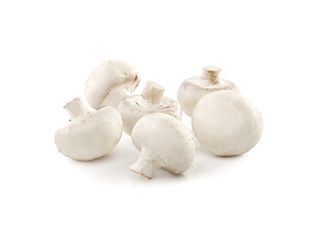 ГЪБИ ПЕЧУРКИ 500 ГР / 38137219