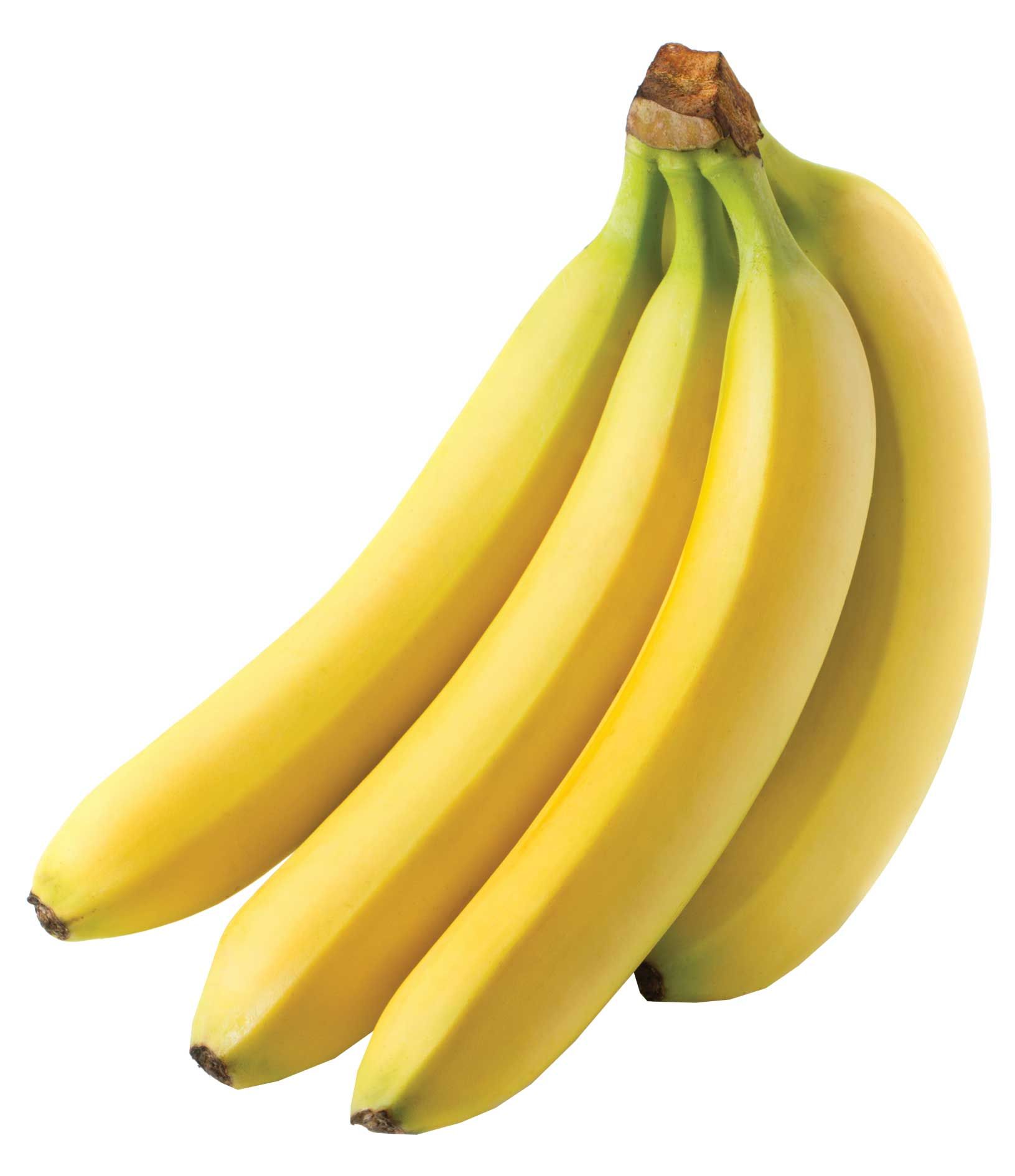 BIO