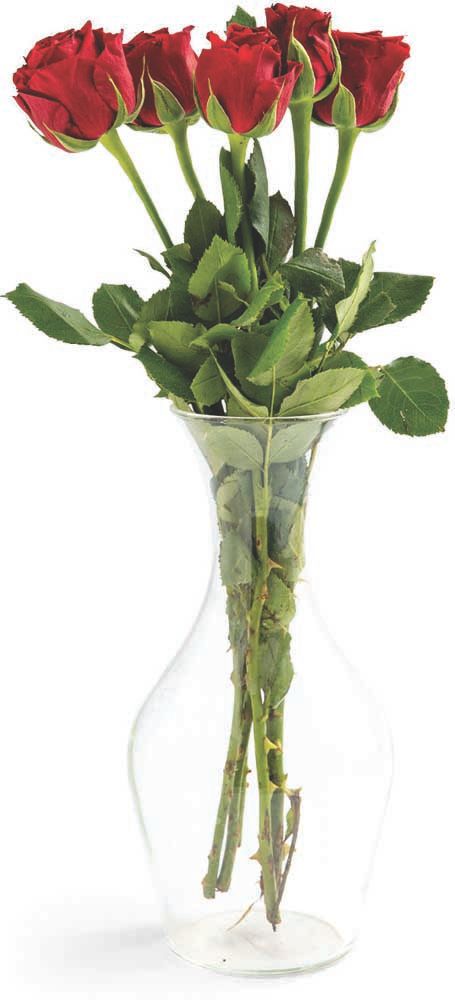 Flori