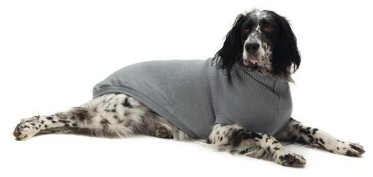 Duksevi i Džemperi za Pse