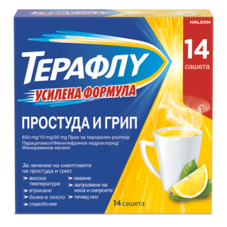 ТЕРАФЛУ САШЕТА X 14