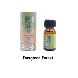 Tree of life Ulei Aromaterapie – Evergreen Forest