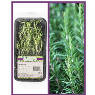 Розмарин тарелка 1 БР / 38937281