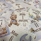 Карточки с месяцами для новорождённых (12шт)