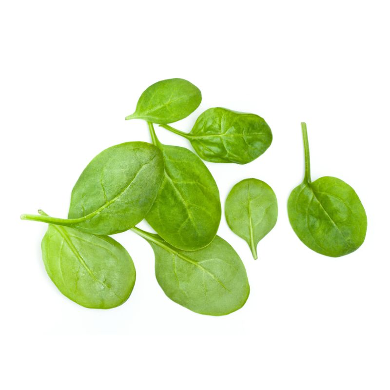 Свежи Салати