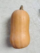 Muškatna tikva komad