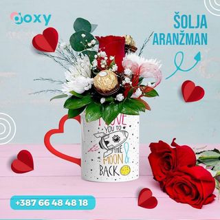 Aranžman 13 + Šolja