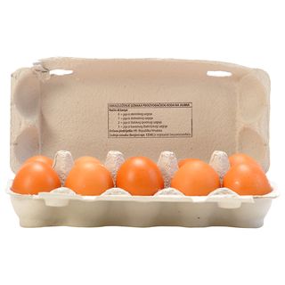 JAJA M RAZRED 10/1 PODNI UZGOJ VRANA